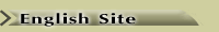 English website - Version anglaise